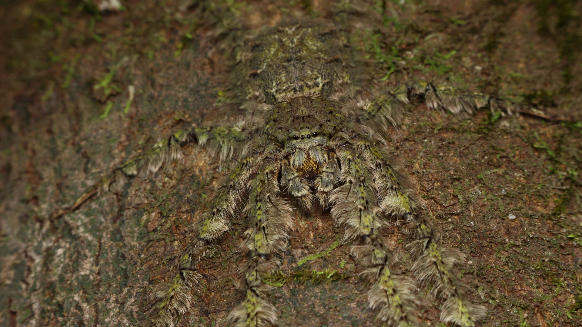 Expanded and updated Privacy and Confidentiality Policy