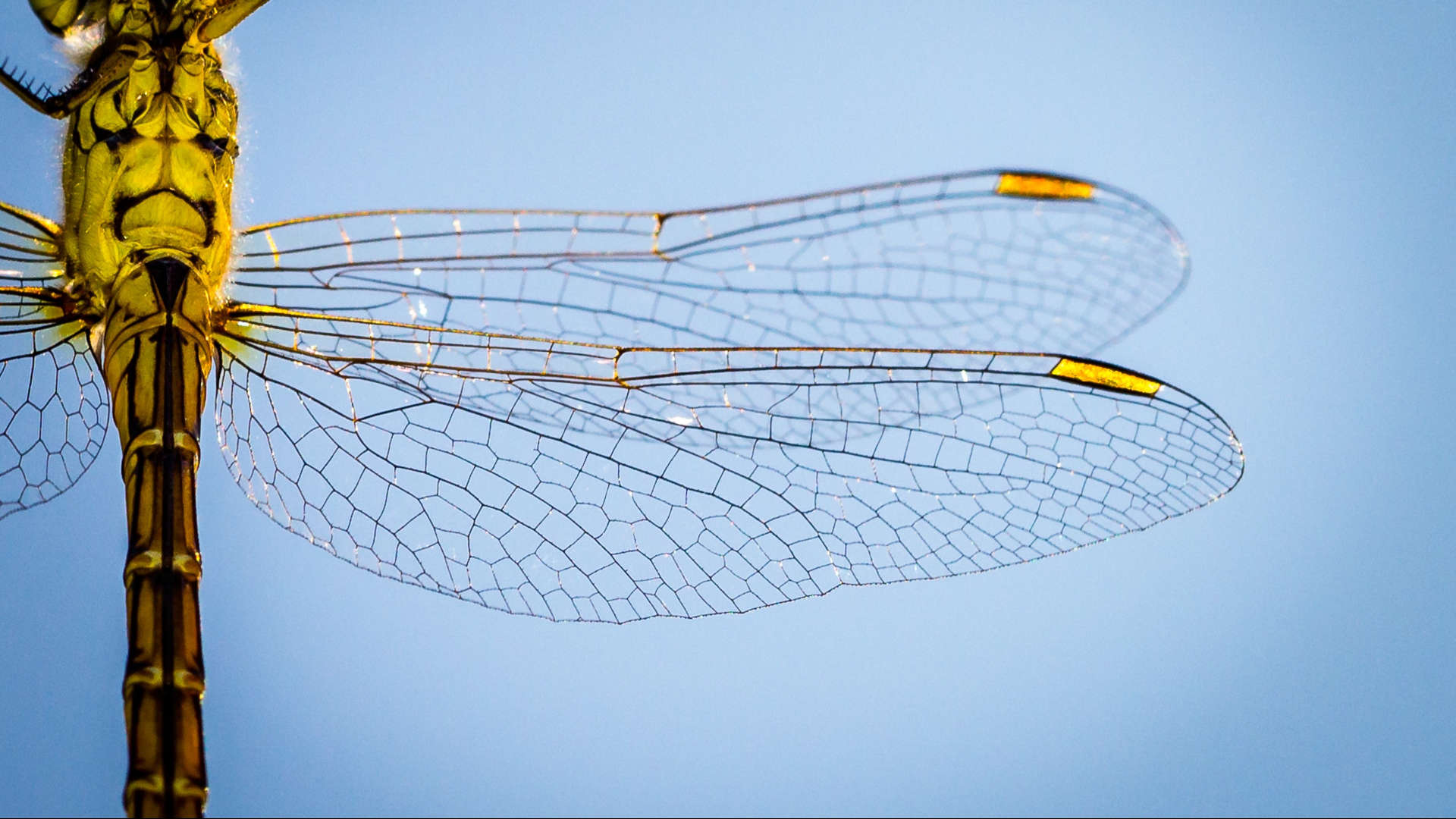 why your firm needs multiple business models